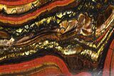 Polished Tiger Iron Stromatolite - ( Billion Years) #65324-1